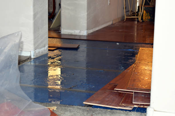 Professional Water Extraction technician working in Courtenay, ND